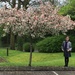 Happy Tree by daffodill