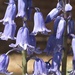 Bluebell Study 3 by helenhall