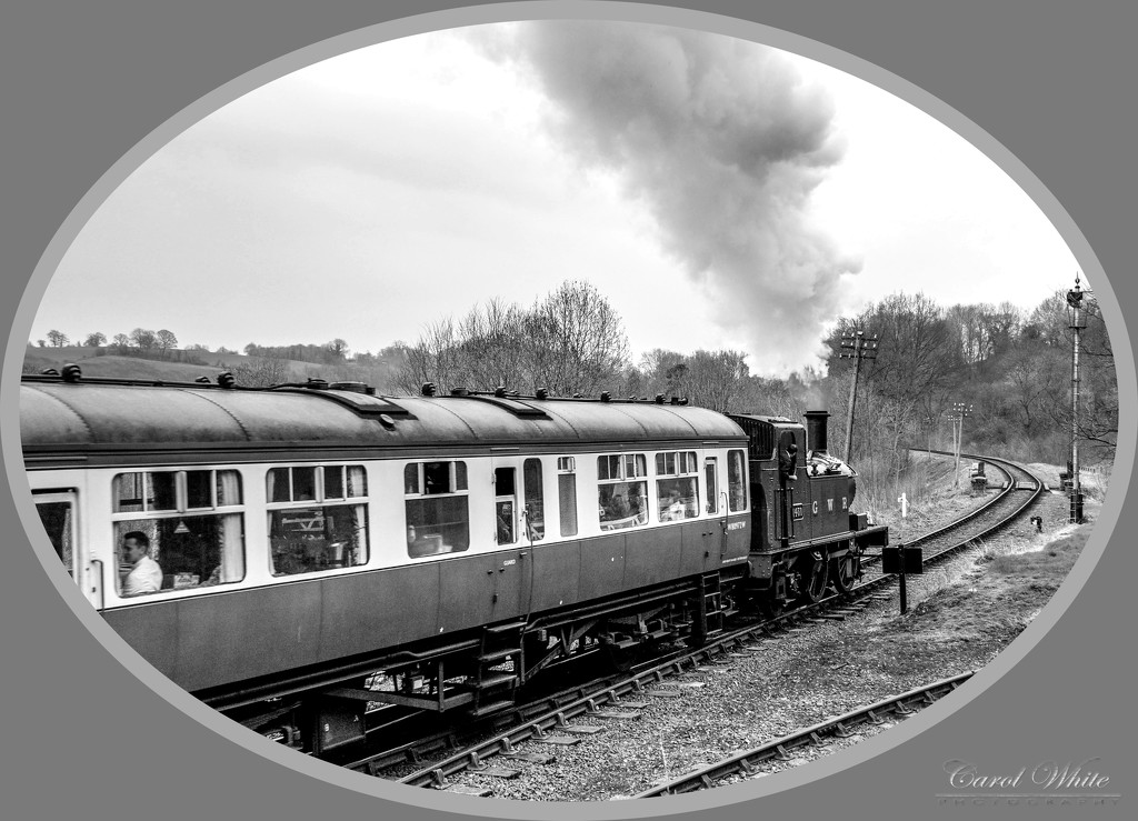 Steam Trip On The Severn Valley Railway by carolmw