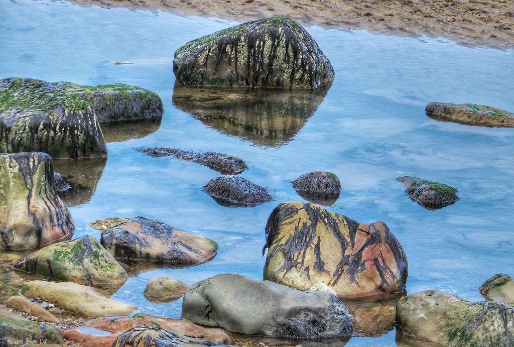 Rock pool by craftymeg