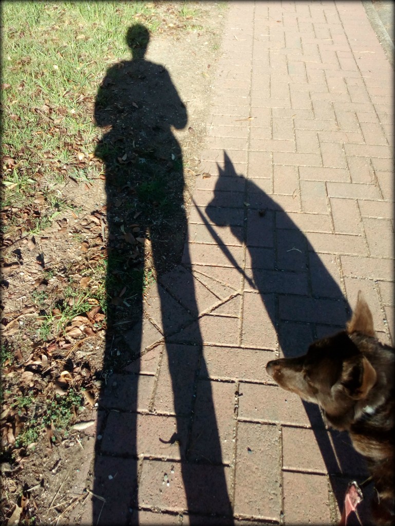 me and my shadow by cruiser