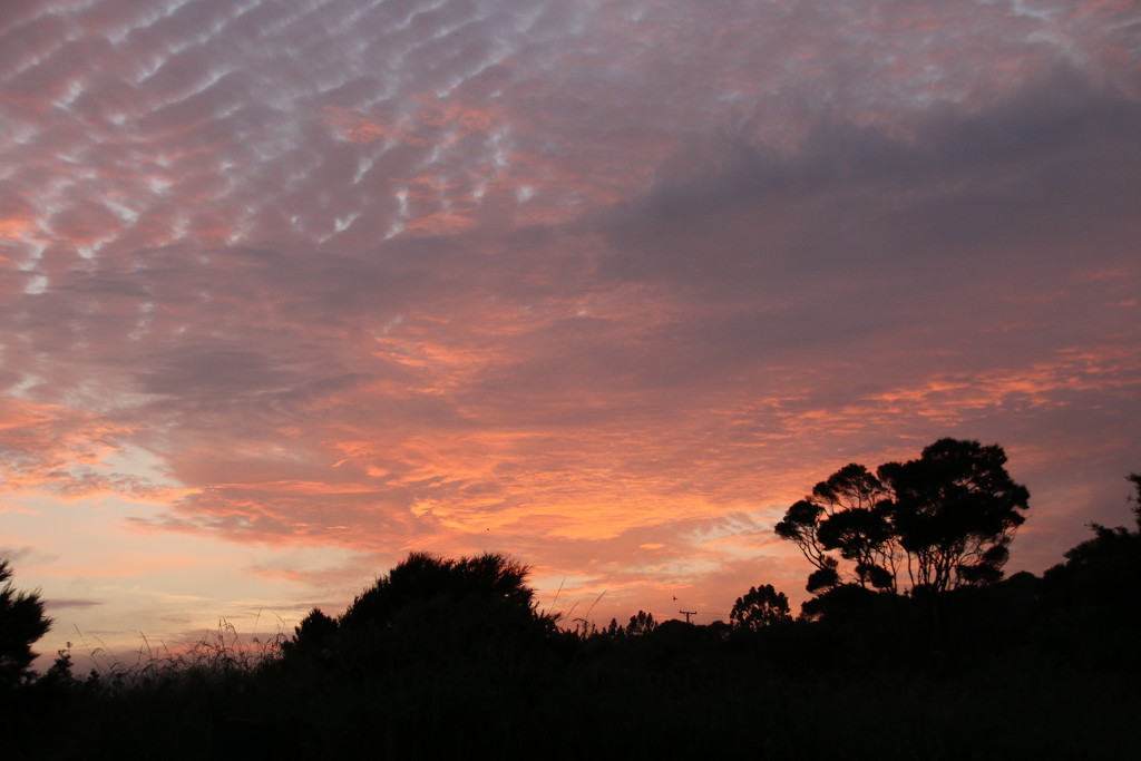 New Zealand dawn by shepherdman