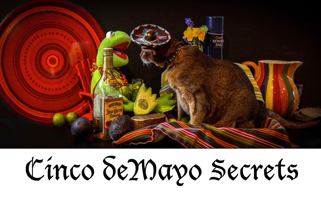 Happy Cinco deMayo ! by berelaxed