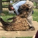 Sheep shearing by tatra