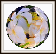 6th May 2018 - Flowers in a Glass Ball