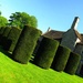 Topiary Rollers by ajisaac