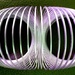 Slinky by mave