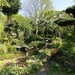 Japanese Meditation Garden  by phil_sandford