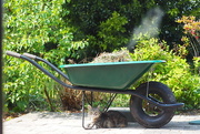 8th May 2018 - Cat under hot tin wheelbarrow