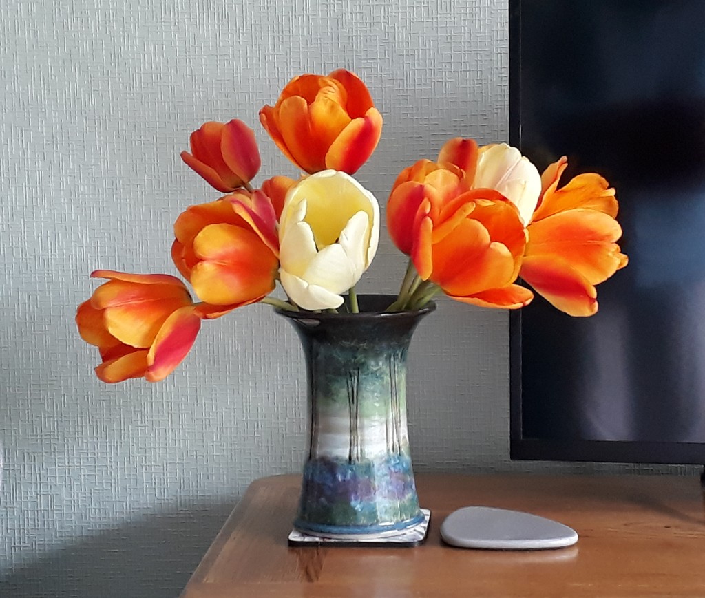Tulips indoors by sarah19