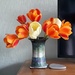 Tulips indoors by sarah19