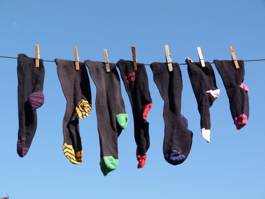 Where Do The Odd Socks Go? by 30pics4jackiesdiamond