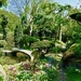 Garden Panoramic  by carole_sandford