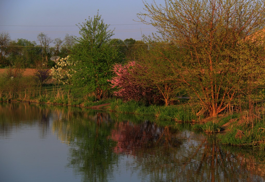 Color By The Lake by digitalrn