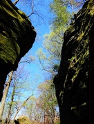 8th May 2018 - Whipps Ledges