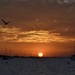 A Smoky Sunset_DSC8364 by merrelyn