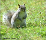 10th May 2018 - Are you looking at me?