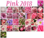 30th Apr 2018 - Month of Pink