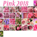 Month of Pink by homeschoolmom