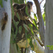 cloak and dagger by koalagardens
