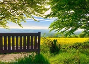 11th May 2018 - Bench with a view