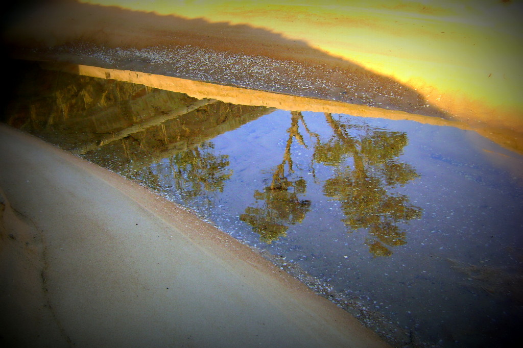 Seawall reflection by marguerita