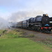 Steam train rolls into town by gilbertwood