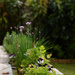 herbs garden by parisouailleurs