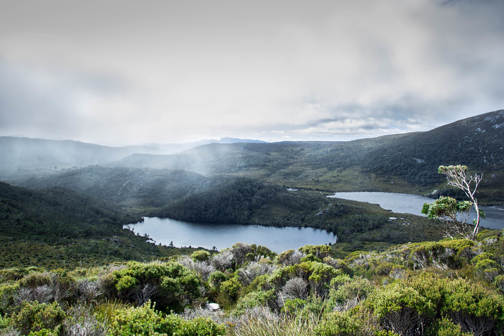 Cradle Mountain by ricaa