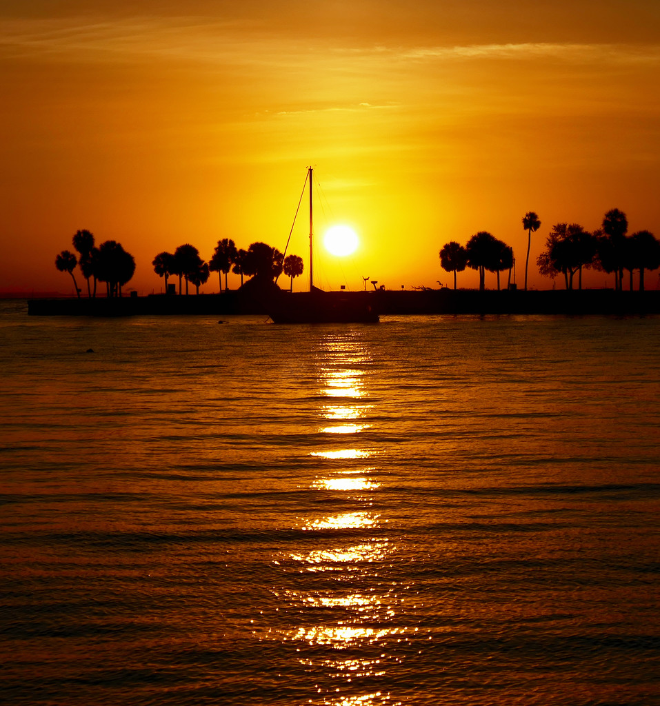 St Pete in the Morning by hondo