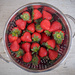 Strawberried by rosiekerr