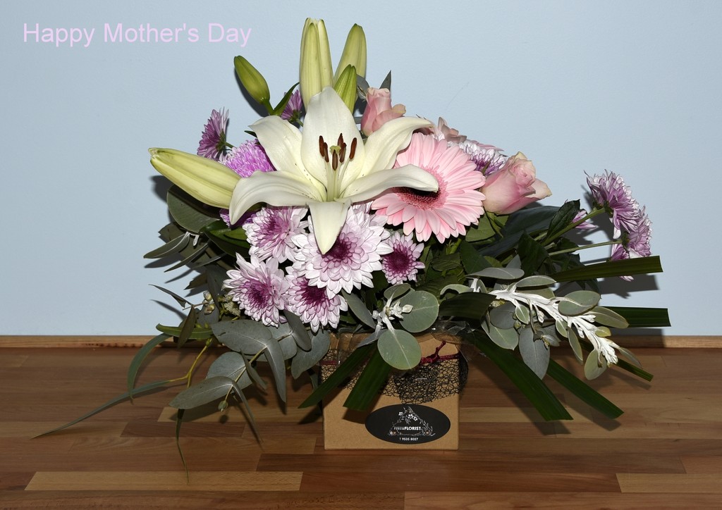 Happy Mother's Day_DSC8575 by merrelyn