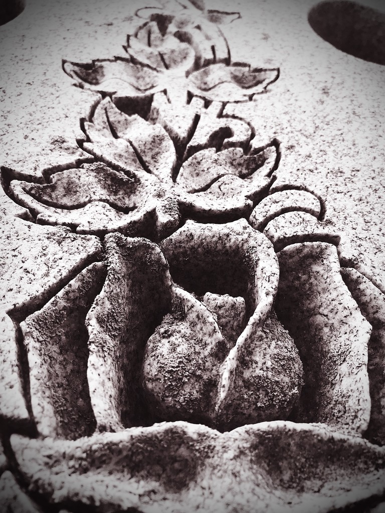 Day 239:  Detail Of Mom’s Grave by sheilalorson