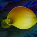 Close-Up Calla Lily by digitalrn