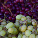 table grapes by summerfield