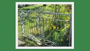 15th May 2018 - The  open garden gate.