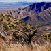 Elkhorn Ranch, Arizona by swagman