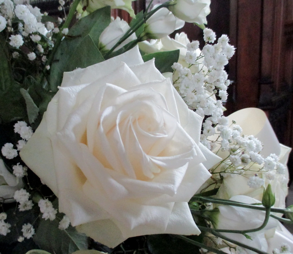 Wedding rose by filsie65