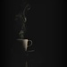 2018-05-16 steaming tea... by mona65