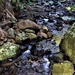 A Walk Beside A Rocky Creek ~ by happysnaps