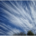 Cirrus Clouds  by kerenmcsweeney