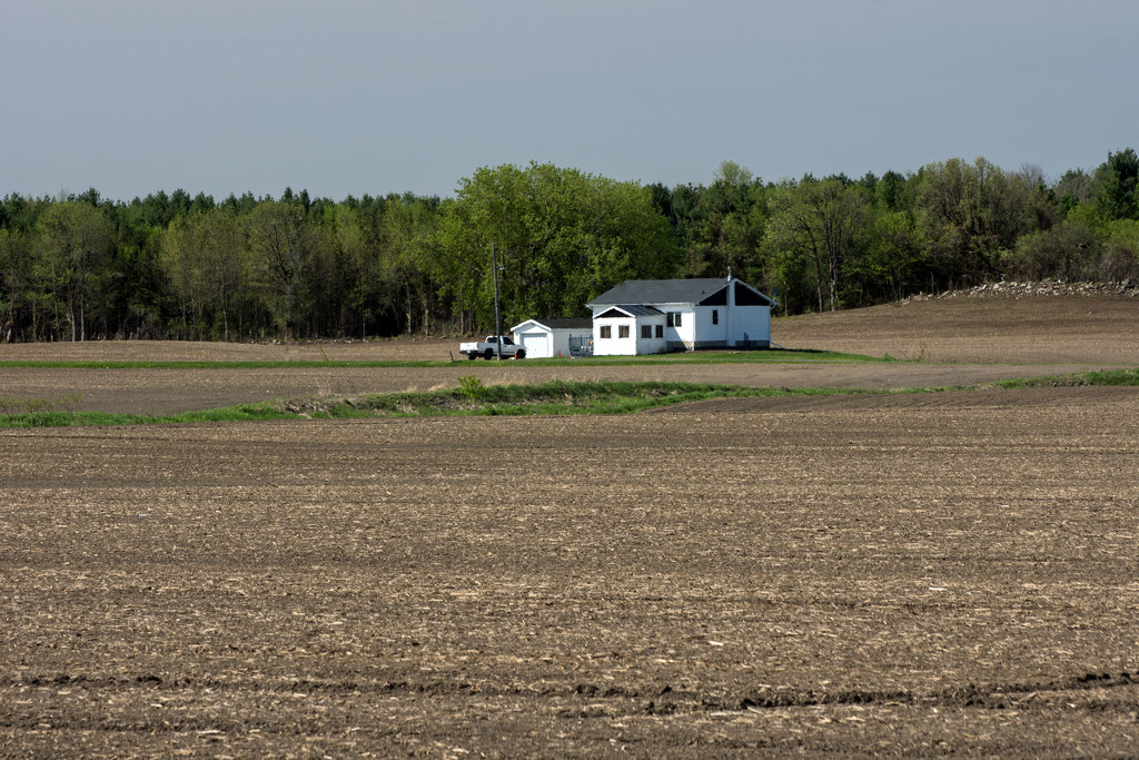 Field house by farmreporter