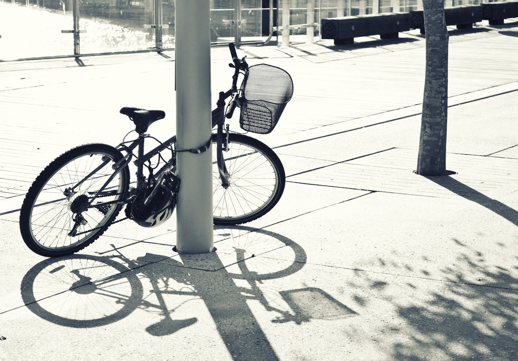 bike by annied