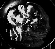 17th May 2018 - black and white food