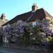 Wisteria Cottage by davemockford