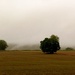 Distant Fog  by digitalrn