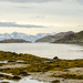 Hopøya by elisasaeter