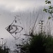 Salvador Dali Fish...or Twig Reflection? by s4sayer