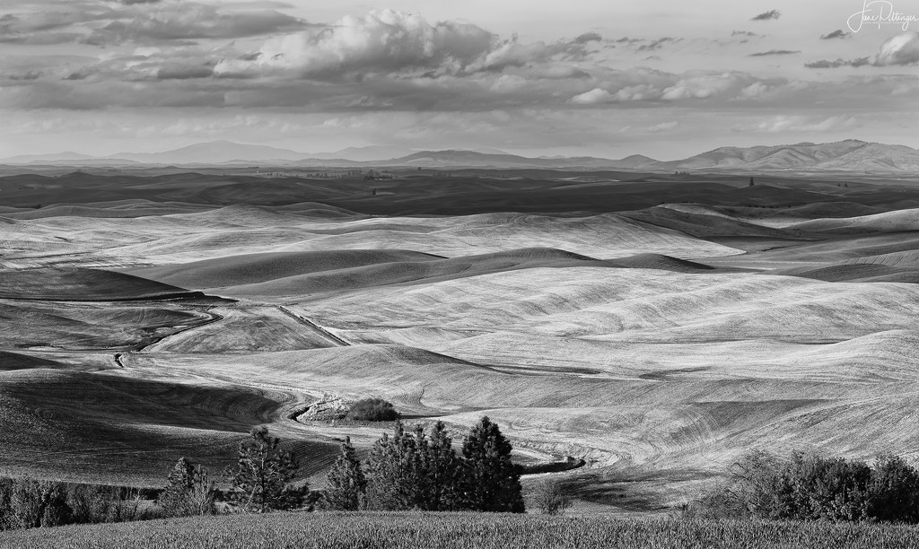 Lines and Curves at Steptoe Butte B and W by jgpittenger