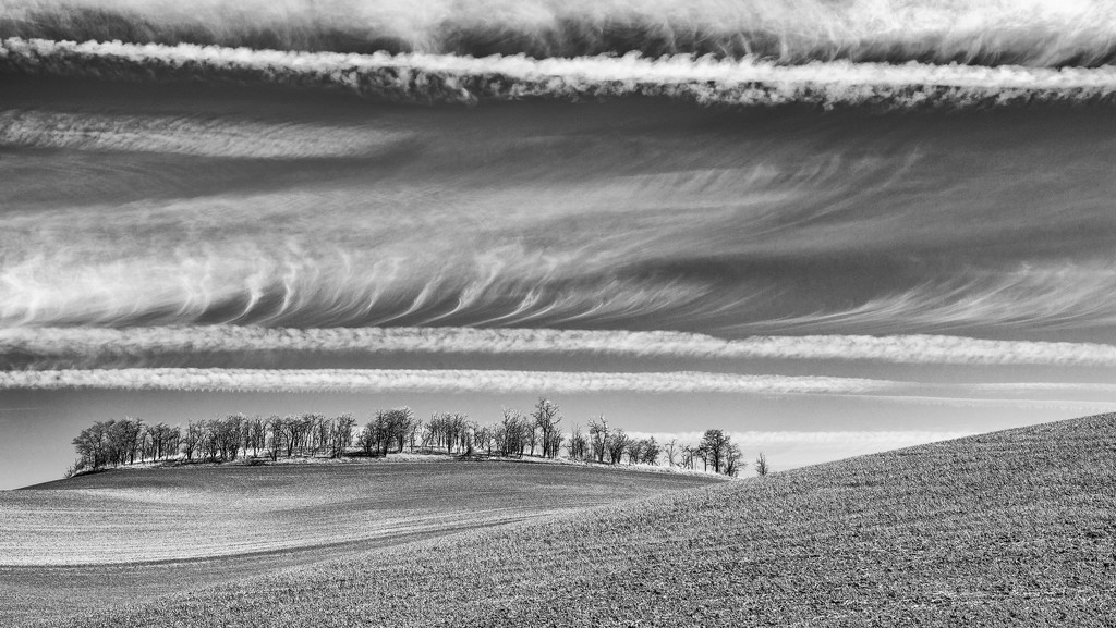 Layers in Nature - v2 B&W by taffy